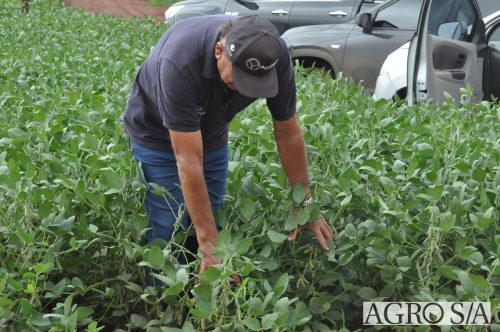 AGROEMAVI-137