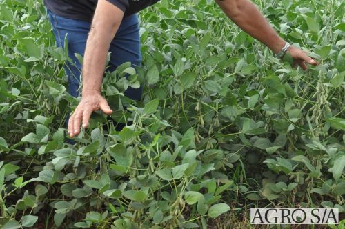 AGROEMAVI-138