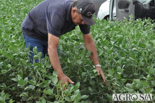 AGROEMAVI-139