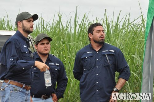 AGROEMAVI-151