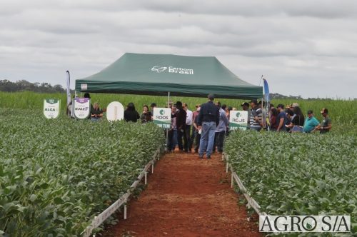 AGROEMAVI-179
