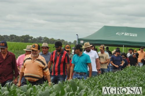 AGROEMAVI-184
