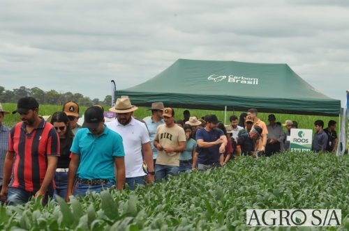 AGROEMAVI-185