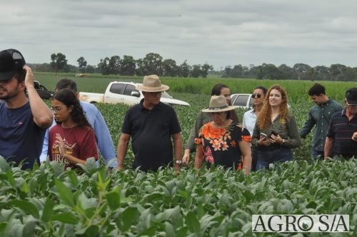 AGROEMAVI-186