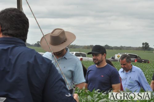 AGROEMAVI-187