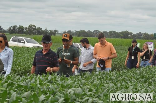 AGROEMAVI-188