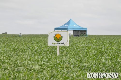 AGROEMAVI-2