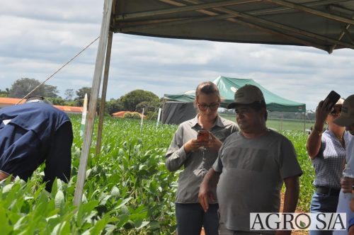 AGROEMAVI-224