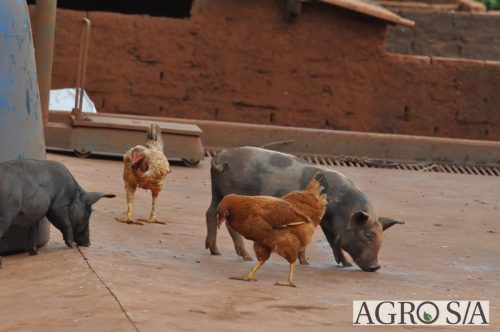 AGROEMAVI-247