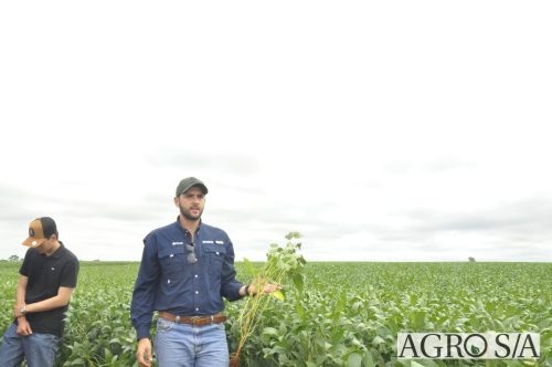 AGROEMAVI-34