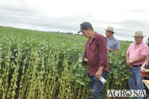 AGROEMAVI-35