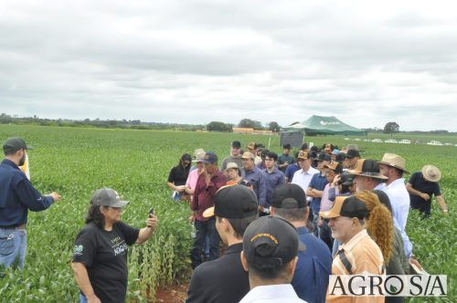 AGROEMAVI-42