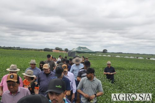 AGROEMAVI-43