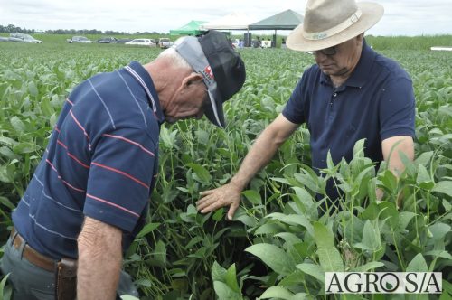 AGROEMAVI-46