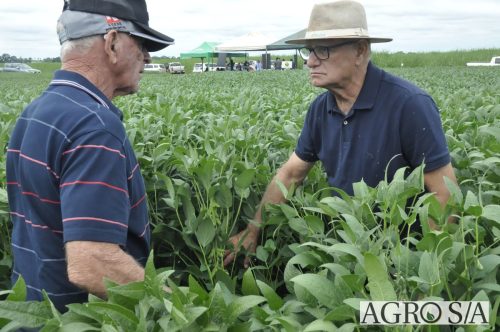 AGROEMAVI-47