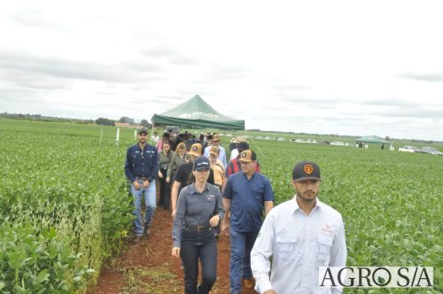 AGROEMAVI-53
