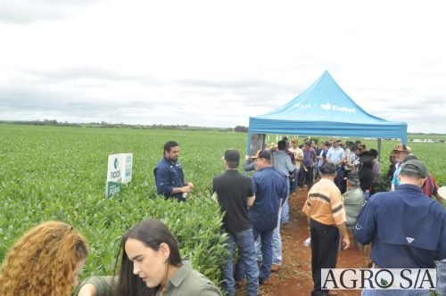 AGROEMAVI-69