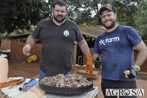 AGROEMAVI-81