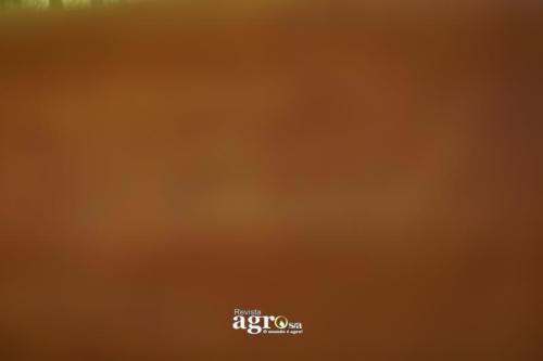DSC00864