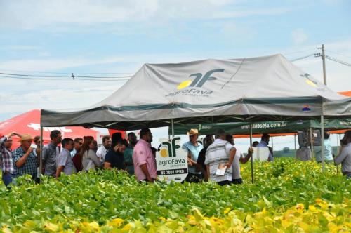 1 agrofava