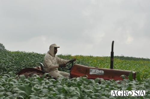 dedeagro-2024-165