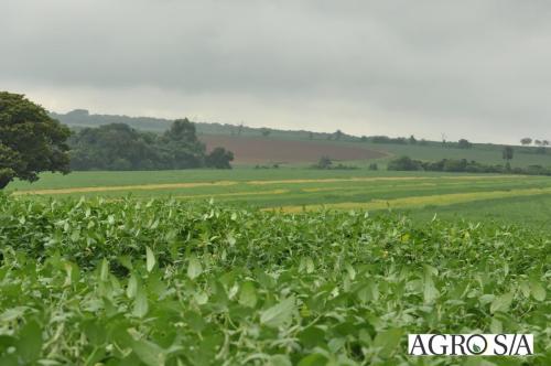 dedeagro-2024-168
