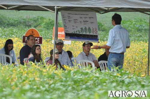 dedeagro-2024-178