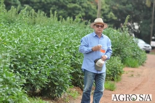 dedeagro-2024-184