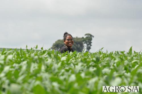 dedeagro-2024-221