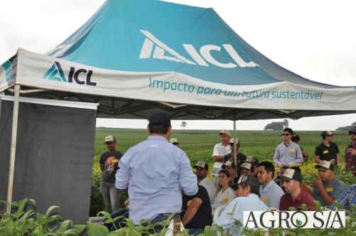 dedeagro-2024-263