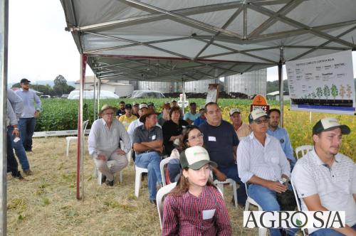 dedeagro-2024-271