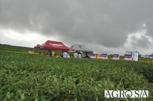 dedeagro-2024-272