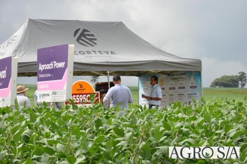 dedeagro-2024-299