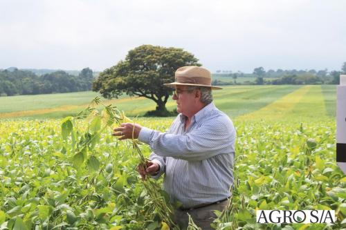 dedeagro-2024-3