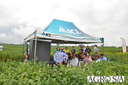 dedeagro-2024-306