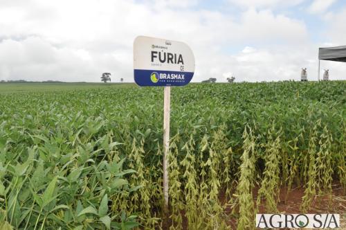dedeagro-2024-318