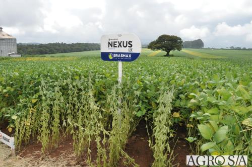 dedeagro-2024-319