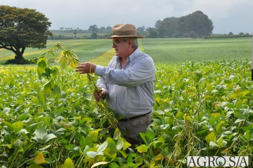 dedeagro-2024-329