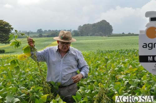 dedeagro-2024-330