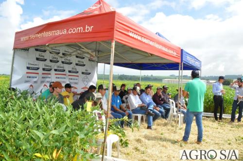 dedeagro-2024-334