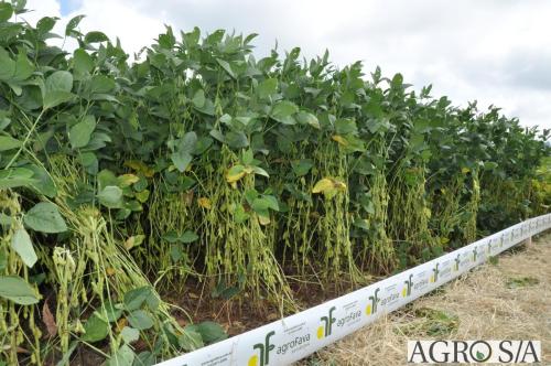 dedeagro-2024-340