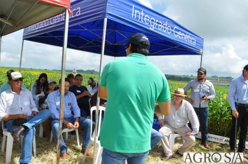 dedeagro-2024-344