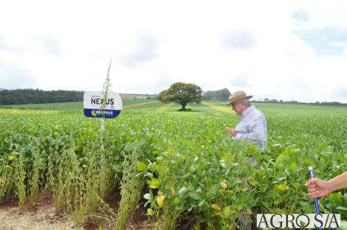dedeagro-2024-347