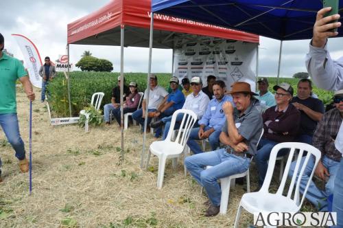 dedeagro-2024-348