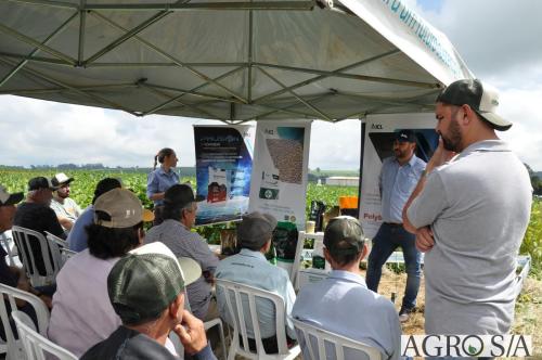 dedeagro-2024-350