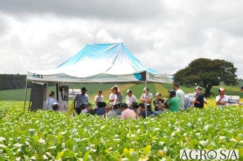 dedeagro-2024-358