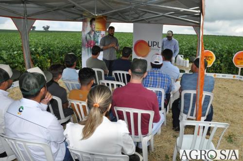 dedeagro-2024-365
