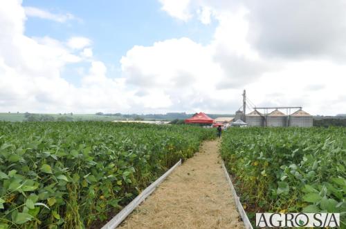 dedeagro-2024-366
