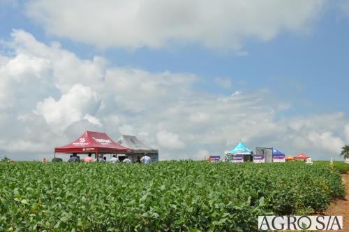 dedeagro-2024-384