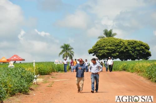 dedeagro-2024-386